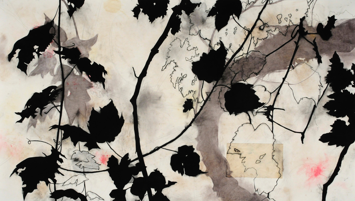 MADERA CANYON CYCLE – GRAPEVINE charcoal, earth, cochineal, graphite, plant material, wax, 52.5” x 91”, 2015