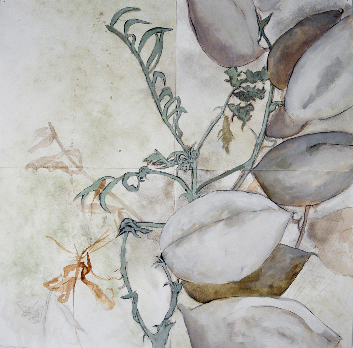 LOVE NOTES AND ELEGIES NO. 10 charcoal, earth, watercolor, cochineal, mica, mixed media 31” x 31” 2023