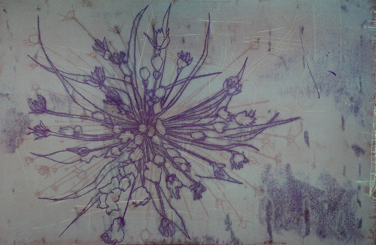 color monotype, 32” x 47”, 2014