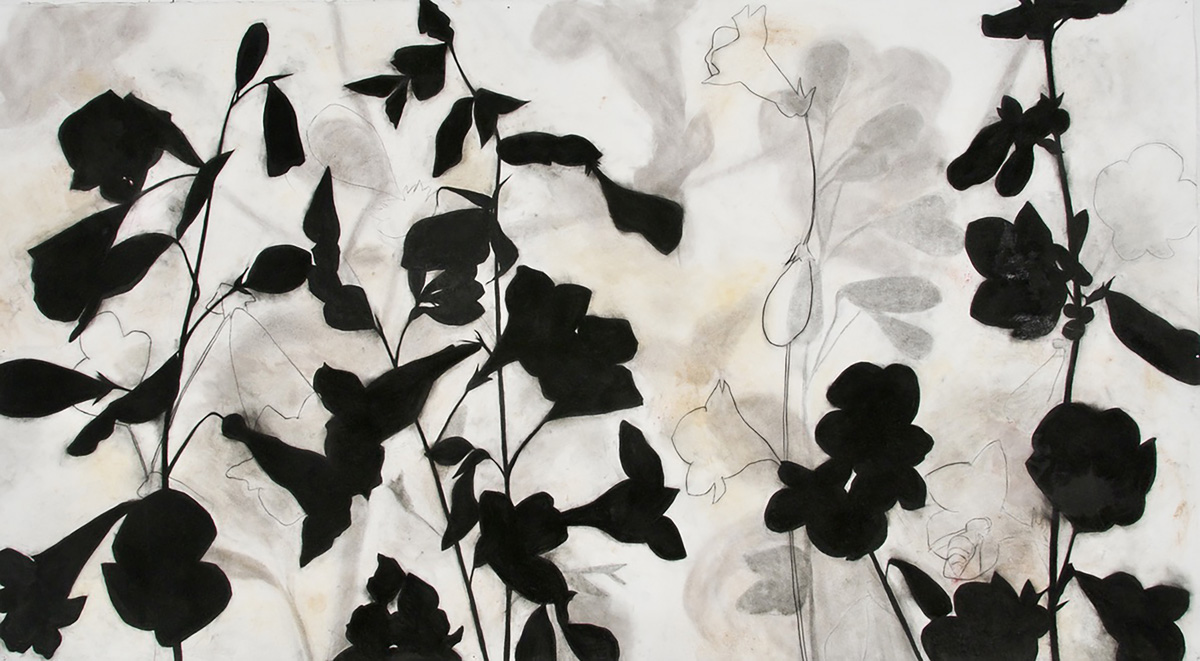 charcoal, earth, plant materials,42.5” x 76.5”, 2020
