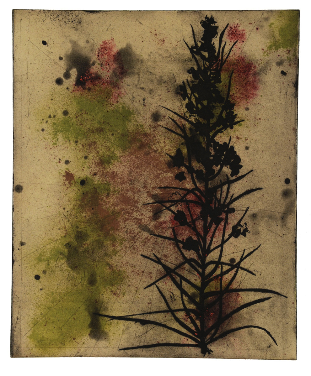 color etchings w/ chine colle, cochineal, editions of 20 each, 30" x 22", 2005