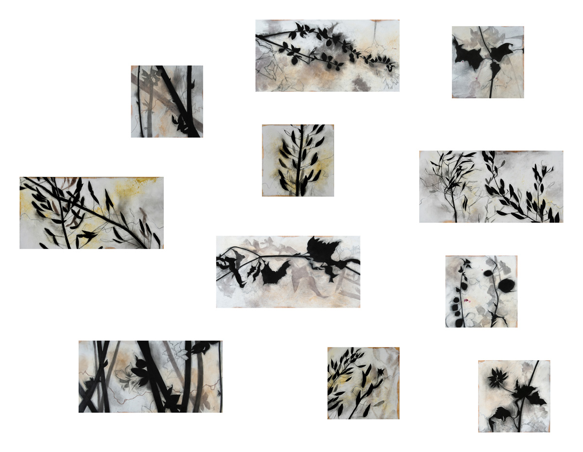 U.S./MEXICO BORDER charcoal, watercolor, earth, mica on panel, 60” x 86”, 2018