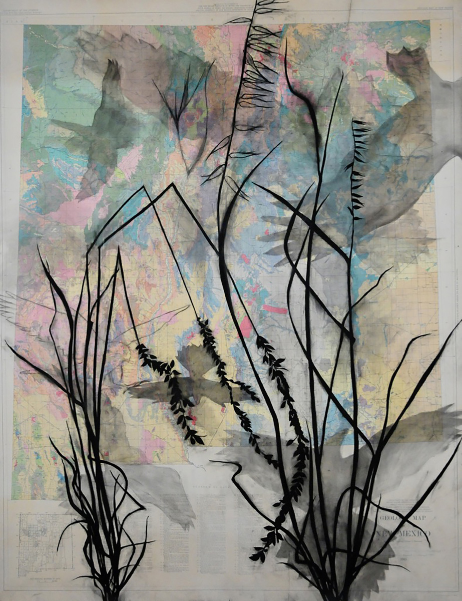 JANOS GRASSLANDS W/APLOMADA FALCON charcoal on map, 74” x 48”, 2018