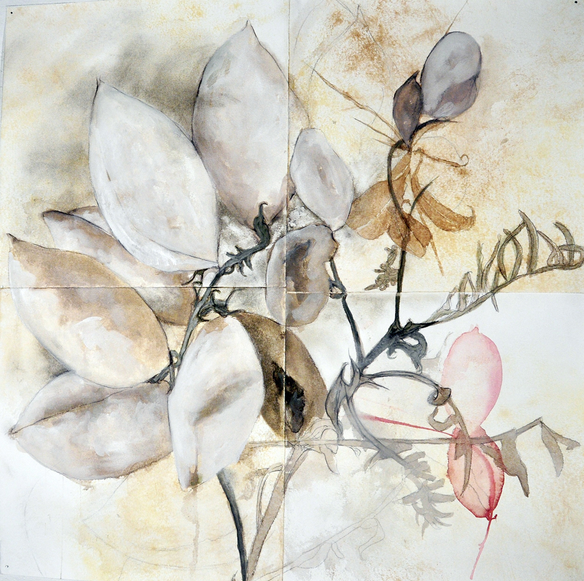 LOVE NOTES AND ELEGIES NO. 9 charcoal, earth, watercolor, cochineal, mica, mixed media 31” x 31” 2023